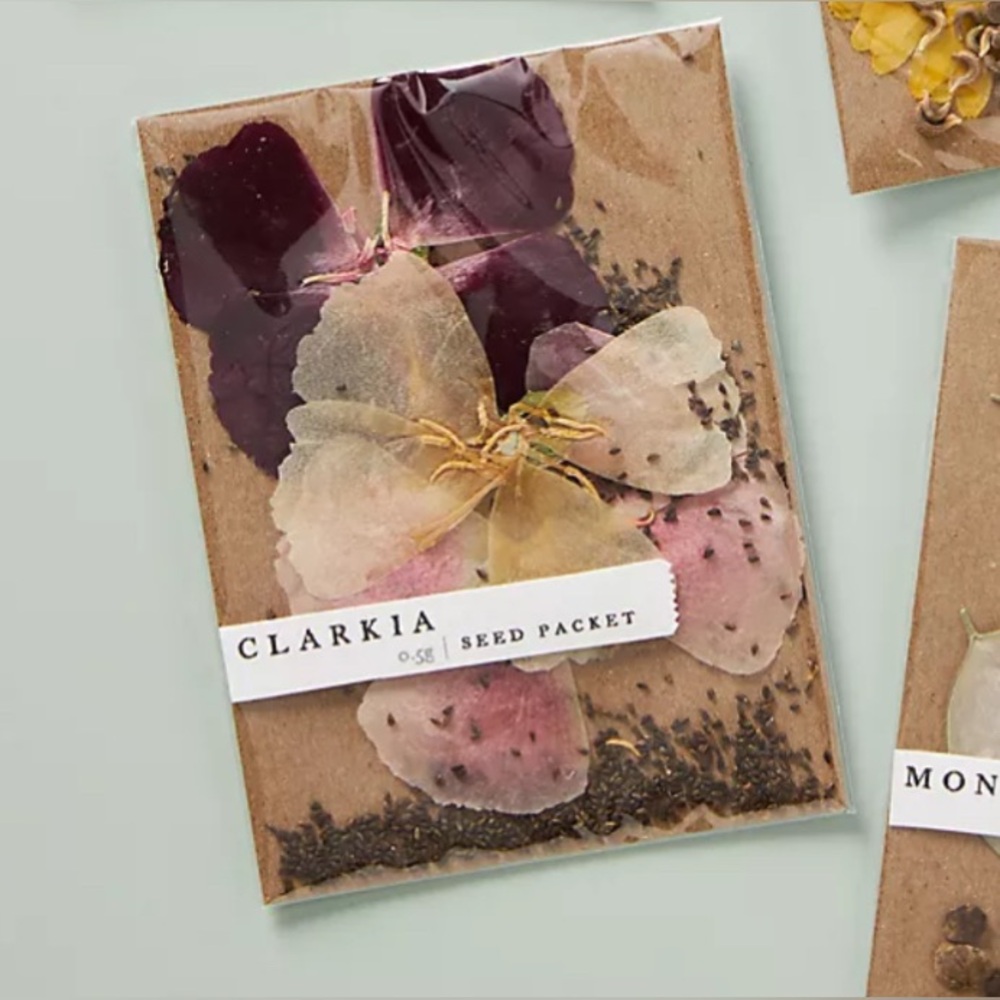 ANTHROPOLOGIE ROSY RINGS BLOSSOM SEED PACKET CLARKIA NEW